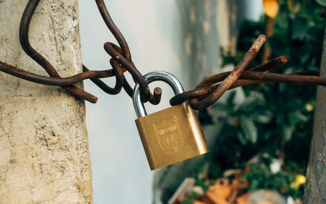 Unlock Value By Decreasing Vendor Risk